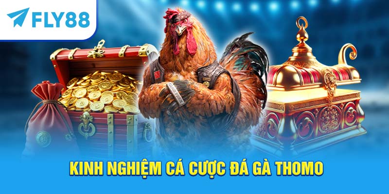Fly88 – Trang Cá Cược Đá Gà Thomo Trực Tuyến Uy Tín Tốt Nhất 2025 4 Kinh nghiệm cá cược đá gà Thomo